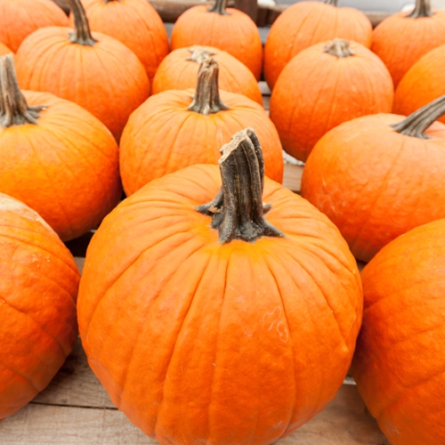 Festive fall decorating ideas to brighten up your home