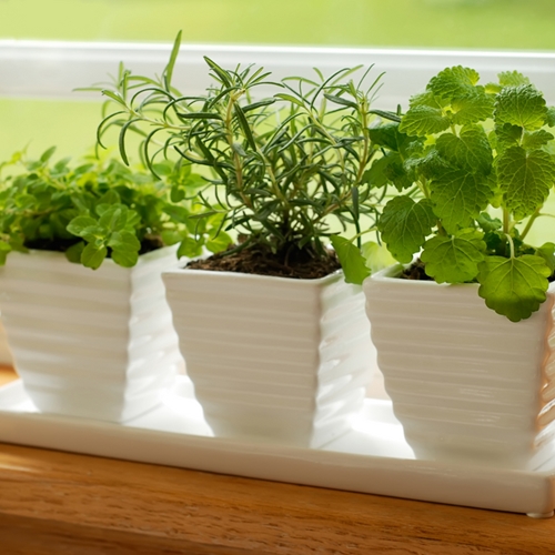 Go ahead, eat your garden!