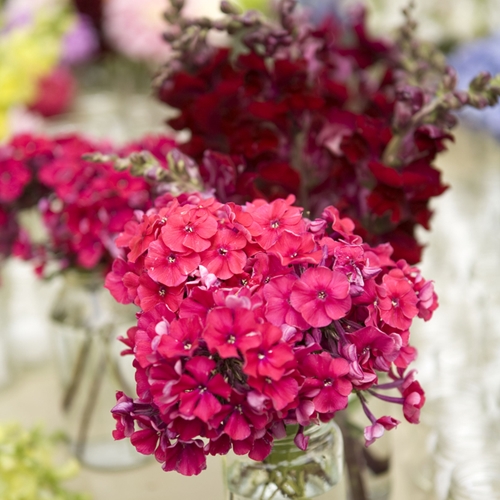 Let your blossoms bloom in unique vases