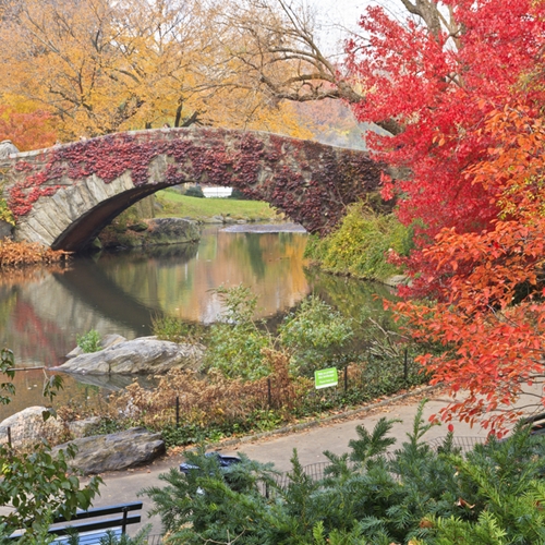 Park it in the park for the best fall workout