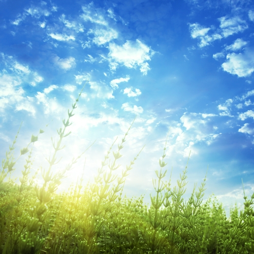 Spread a little sunshine