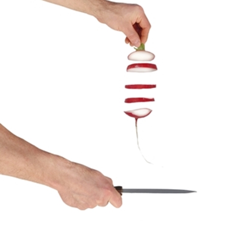 The real dish on raw food diets