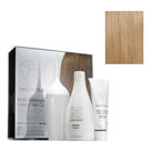 kelly van gogh® master blend™ multi-dimensional luxury hair colour (8V medium cool blonde)