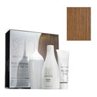 kelly van gogh® master blend™ multi-dimensional luxury hair colour (6V dark cool blonde)