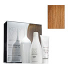 kelly van gogh® master blend™ multi-dimensional luxury hair colour (6G dark golden blonde)