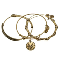 alex + ani star of venus bangle set