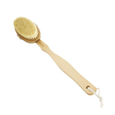 elemis body detox skin brush