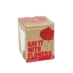 grow me: say it with flowers rose kit