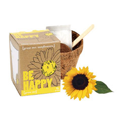 grow me: be happy sunflower kit