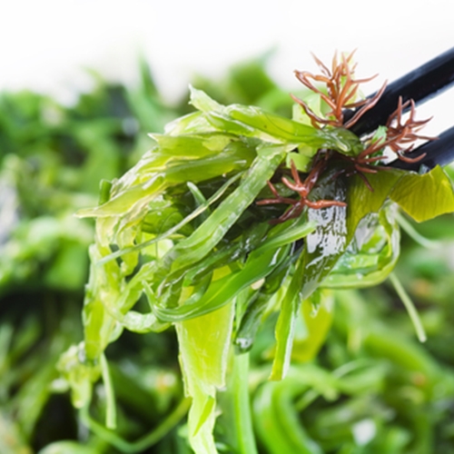 New kids on the block: Superfoods you're not eating (yet!)